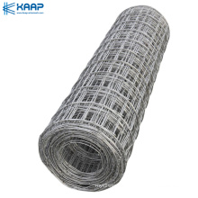 Galvanized welded Iron wire mesh / wire mesh 5 mm price